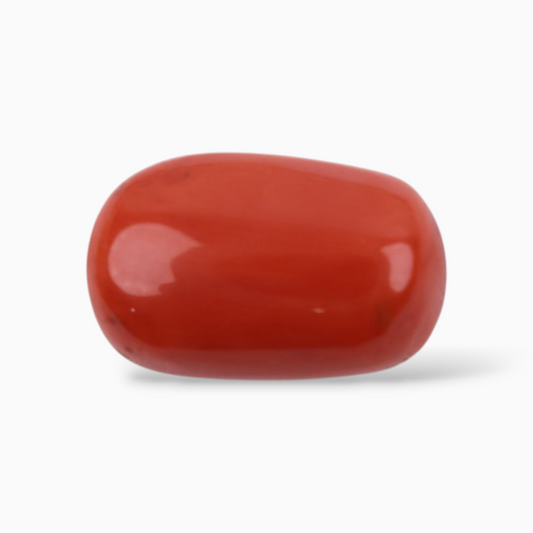 Buy Coral Cabochon Shape For Sale 17.67 Carats Size 18.8x11.9mm