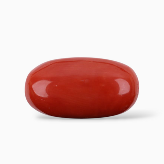 Sponge Coral Stone For Sale 12.40 Carats Oval Cabochon Shape Size 19x10.3mm