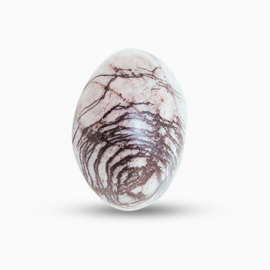 Natural Picasso Jasper Stone in Oval Cabochon Shape