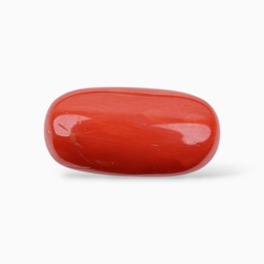 Natural Red Coral Stone For Sale 7.99 Carats Oval Cabochon Shape Size 16.5x8.4mm