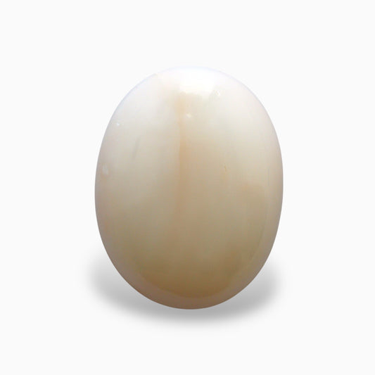 Natural White Coral Moonga Stone 12.57 Carats Oval Cabochon Shape 17.9x13.9mm