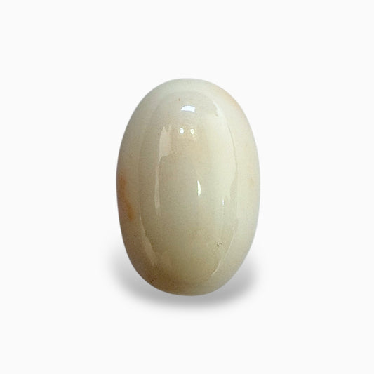 Natural White Coral Moonga Stone 21.76 Carats Oval Cabochon Shape 21x14mm