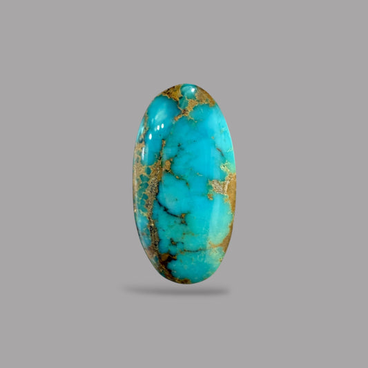 Nishapuri Feroza (Turquoise) Oval Cabochon 8.89 Carats 20.65 x 10.64 x 6.40 mm From Iran