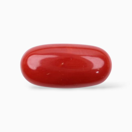 Red Coral Stone For Sale 3.95 Carats In Oval Cabochon (Capsule) Shape 13.7x6.6mm Size