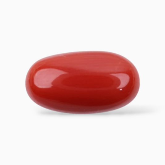Best Quality Coral Stone For Sale 3.55 Carats In Oval Cabochon Shape 12x6.5mm Size