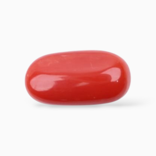 Natural Red Coral Stone 3.15 Carats In Oval Cabochon Shape 11.4x6mm Size