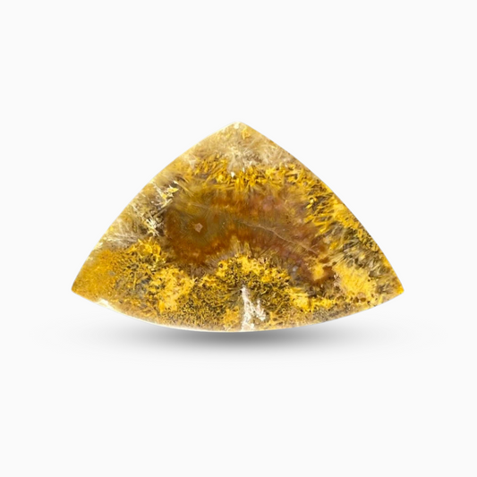 Natural Sagenite Agate Stone Fancy Cut