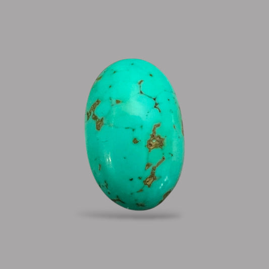 Wholesale Turquoise 20.95 Carats 24.6 x 15.9 x 7.2 mm in Oval