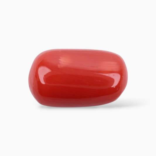 Best Red Coral Stone 5.28 Carats In Oval Cabochon Shape 12.7x7.5mm Size
