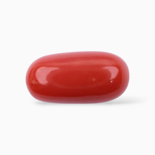 Red Coral For Sale In Oval Cabochon Stone 3.83 Carats 12.3x6.2mm Size