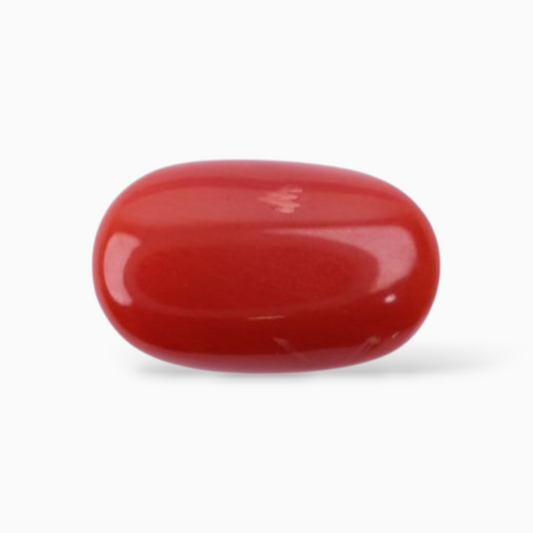 Best Red Coral For Sale In Oval Cabochon Stone 2.86 Carats Size 10.7x6.5mm Size