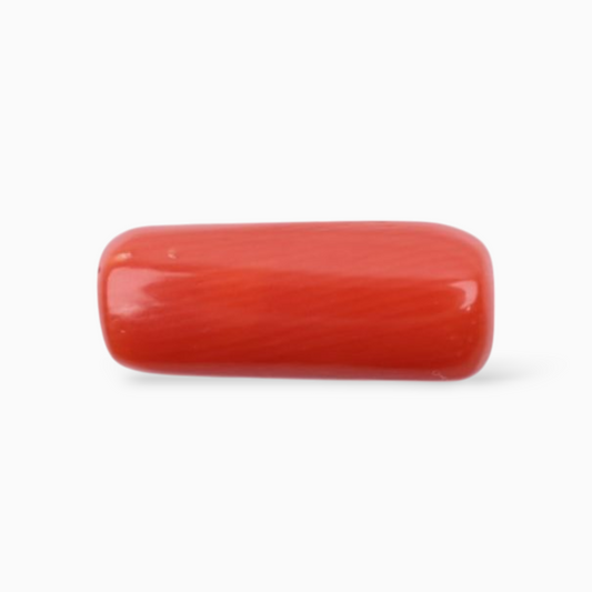 Natural Red Coral stone For Sale 4.03 Carats In Oval Cabochon Shape 14x5.7mm Size