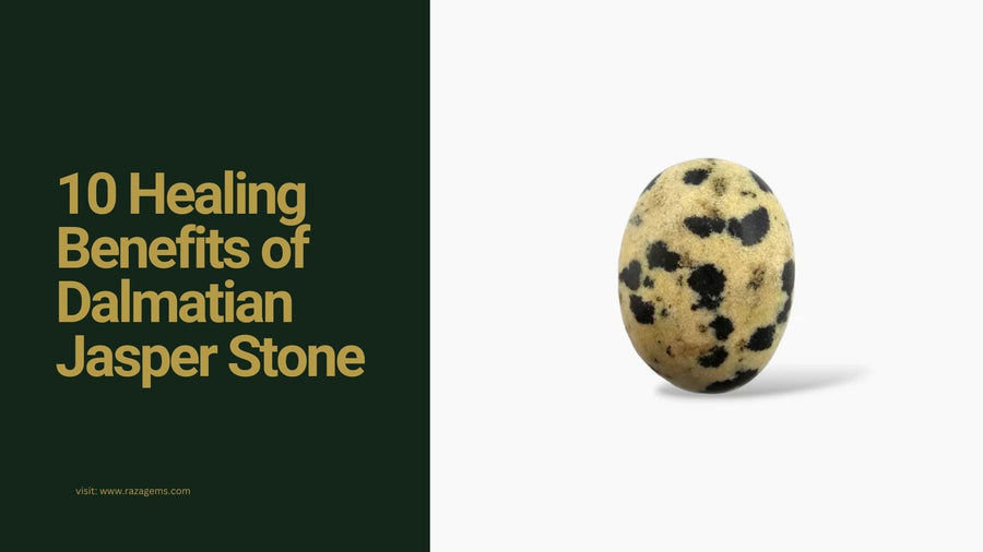 Dalmatian Jasper: Black Spots, Meaning and Care