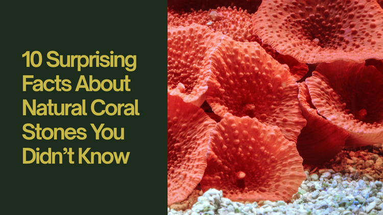 Corell Reck 10 Surprising Facts About Natural Coral Stones You Didn’t Know – Raza ...