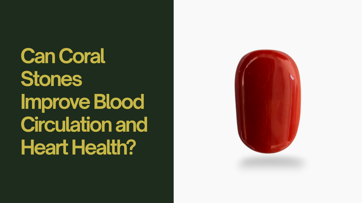 Can Coral Stones Improve Blood Circulation and Heart Health?