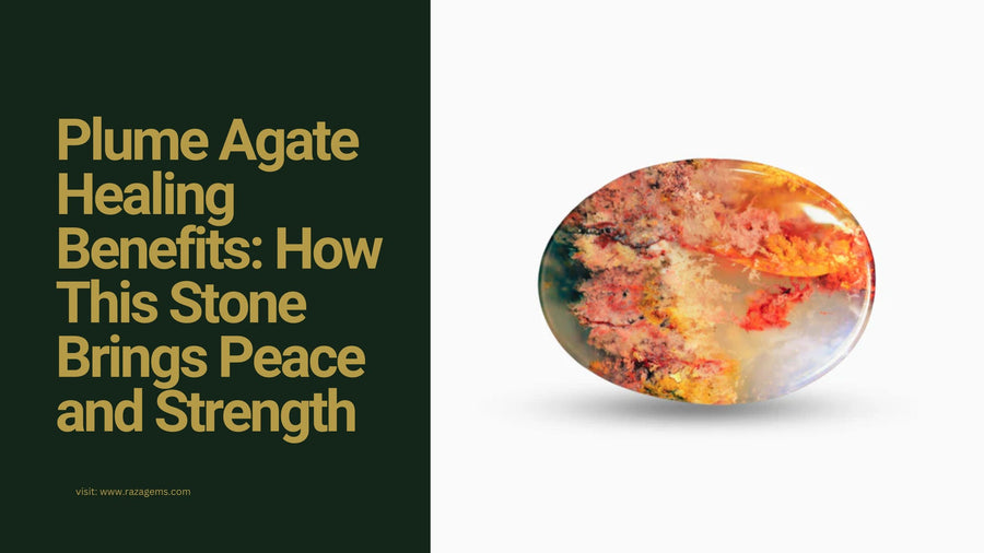 Plume Agate: Feather Patterns Frozen in Stone