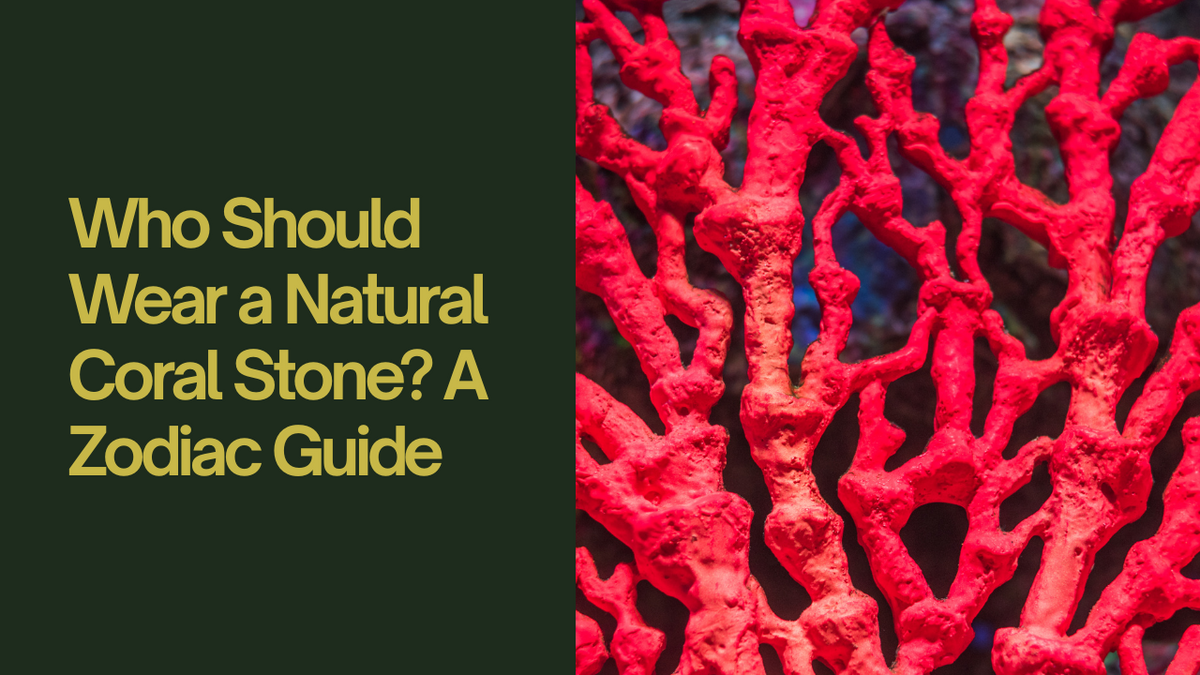 Who Should Wear a Natural Coral Stone? A Zodiac Guide