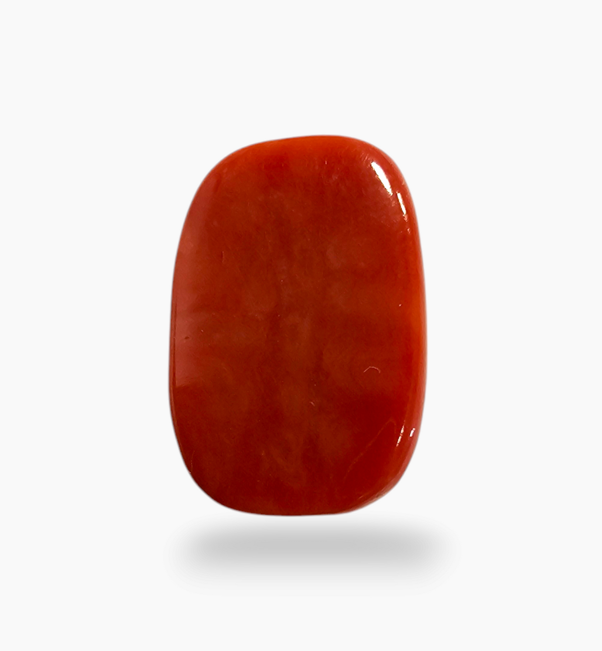 10.18 Ratti Natural Coral Oval Cabochon 9.28 Carats 11.4 x 6.6 mm
