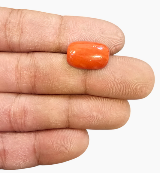 10.18 Ratti Natural Coral Oval Cabochon 9.28 Carats 11.4 x 6.6 mm