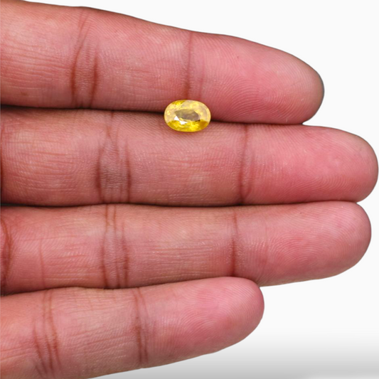 2.26 Carats Yellow Sapphire Stone Oval Shape & 13.2x9.9mm Size