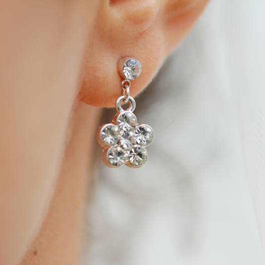 Moissanite Diamond In Pure Silver 925 Beautiful Earring (EAR0480)