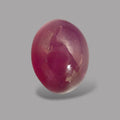 3.37 Carat Rare Pink Star Ruby - Unheated & Natural – 9x6.9 mm