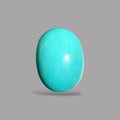 Arizona Turquoise Stone Oval Cabochon 15.07 Carats 18.5 x 13.9 x 9 mm