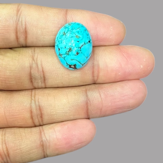 Blue Turquoise Stone 19.65 Carats 20.7 x 16.2 x 8.7 mm in Oval