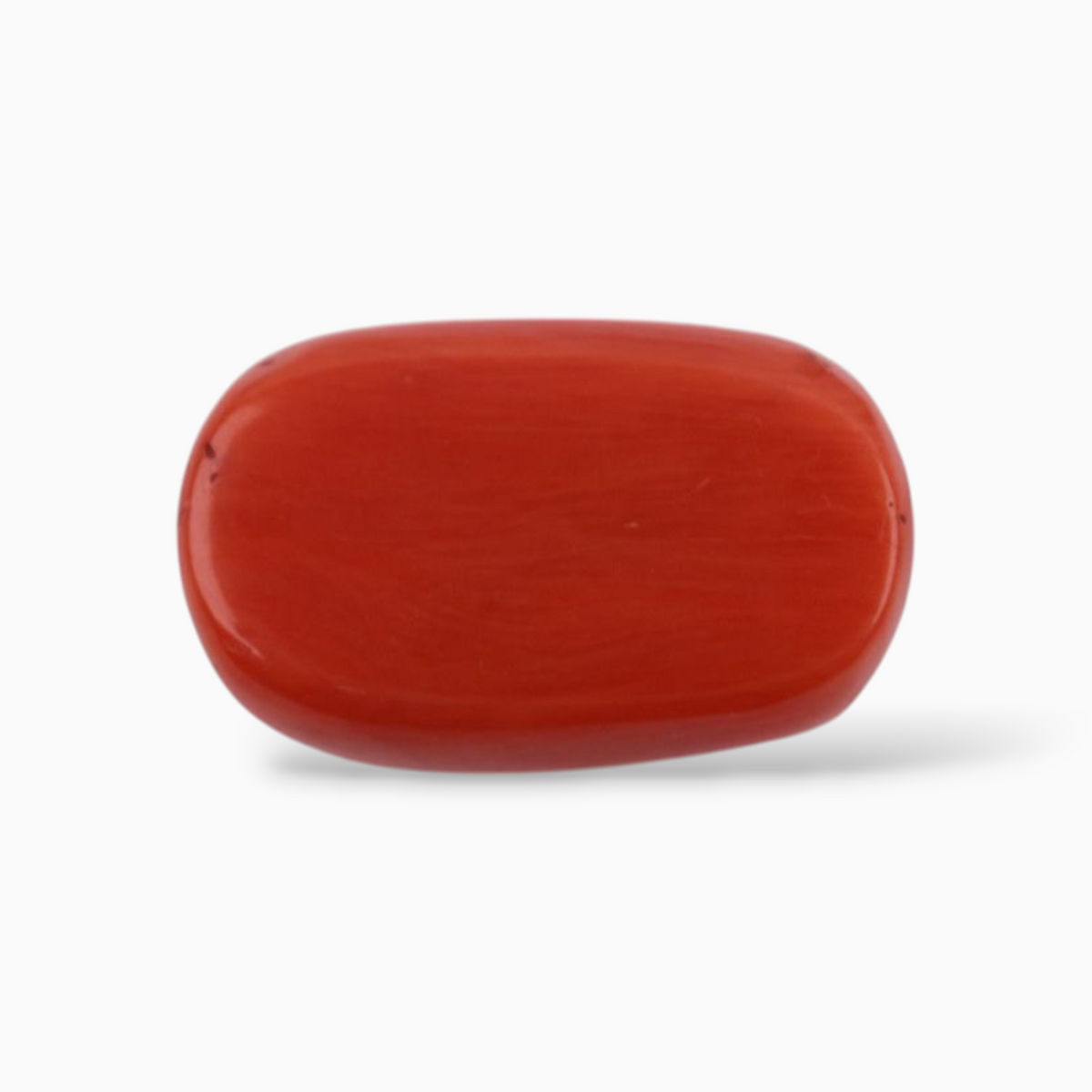 Buy Coral Cabochon Shape For Sale 17.67 Carats Size 18.8x11.9mm