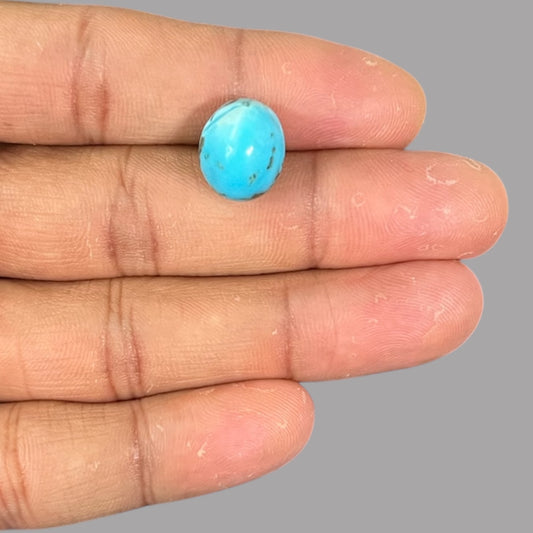 Buy Firoza 10.82 Carats 14.2 x 11.7 x 9.5 mm in Oval