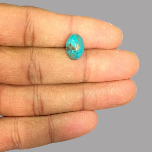 Buy Firoza Online 4.02 Carats 12.4 x 8.9 x 6.2 mm in Oval