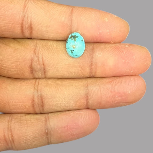 Buy Firoza Online 4.10 Carats 11.6 x 9.2 x 5.6 mm in Oval