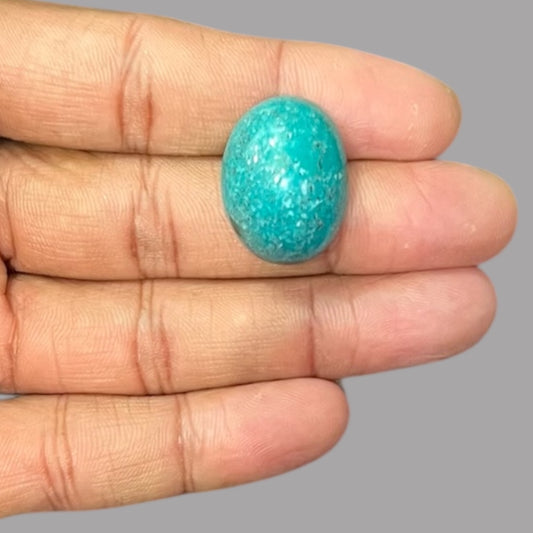 Buy Turquoise 28.80 Carats 23.9 x 18.1 x 11.1 mm in Oval