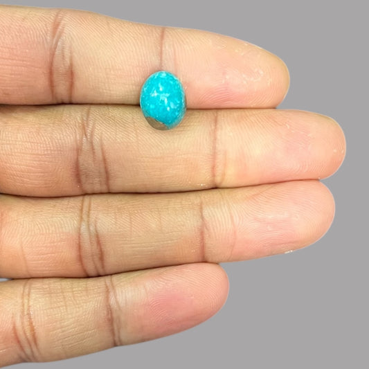 Buy Turquoise 4.76 Carats 11.8 x 9.4 x 5.9 mm in Oval