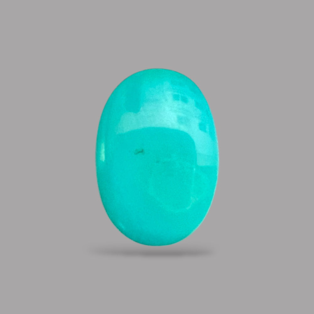 Buy Turquoise 7.49 Carats 21.7 x 14.9 x 3.6 mm in Oval