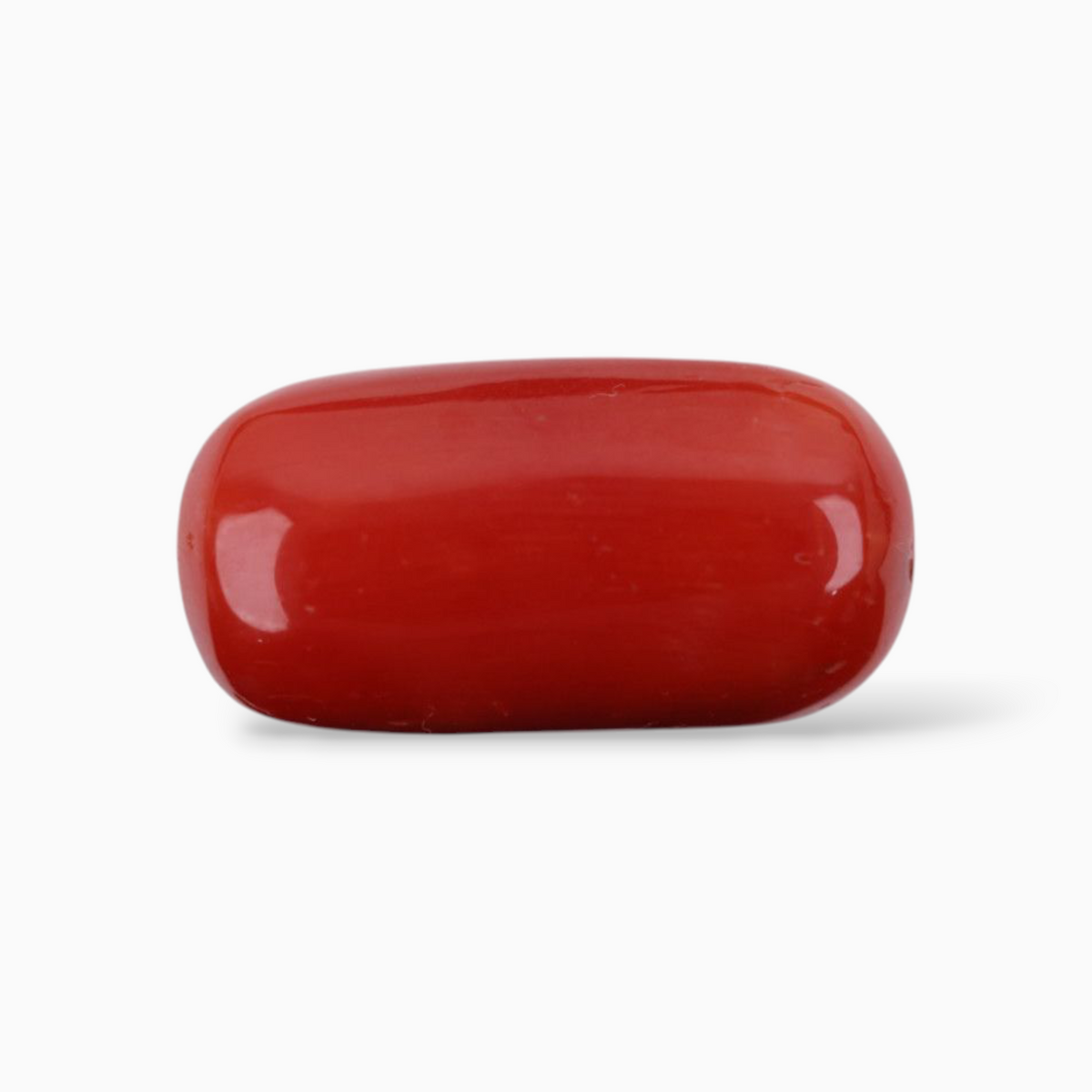 Coral Cabochon Shape For Sale 10.28 Carats Size 17.3x9mm