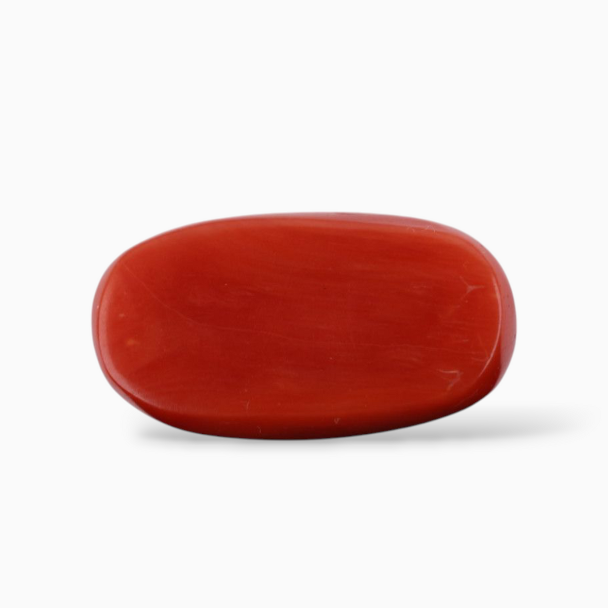 Sponge Coral Stone For Sale 12.40 Carats Oval Cabochon Shape Size 19x10.3mm