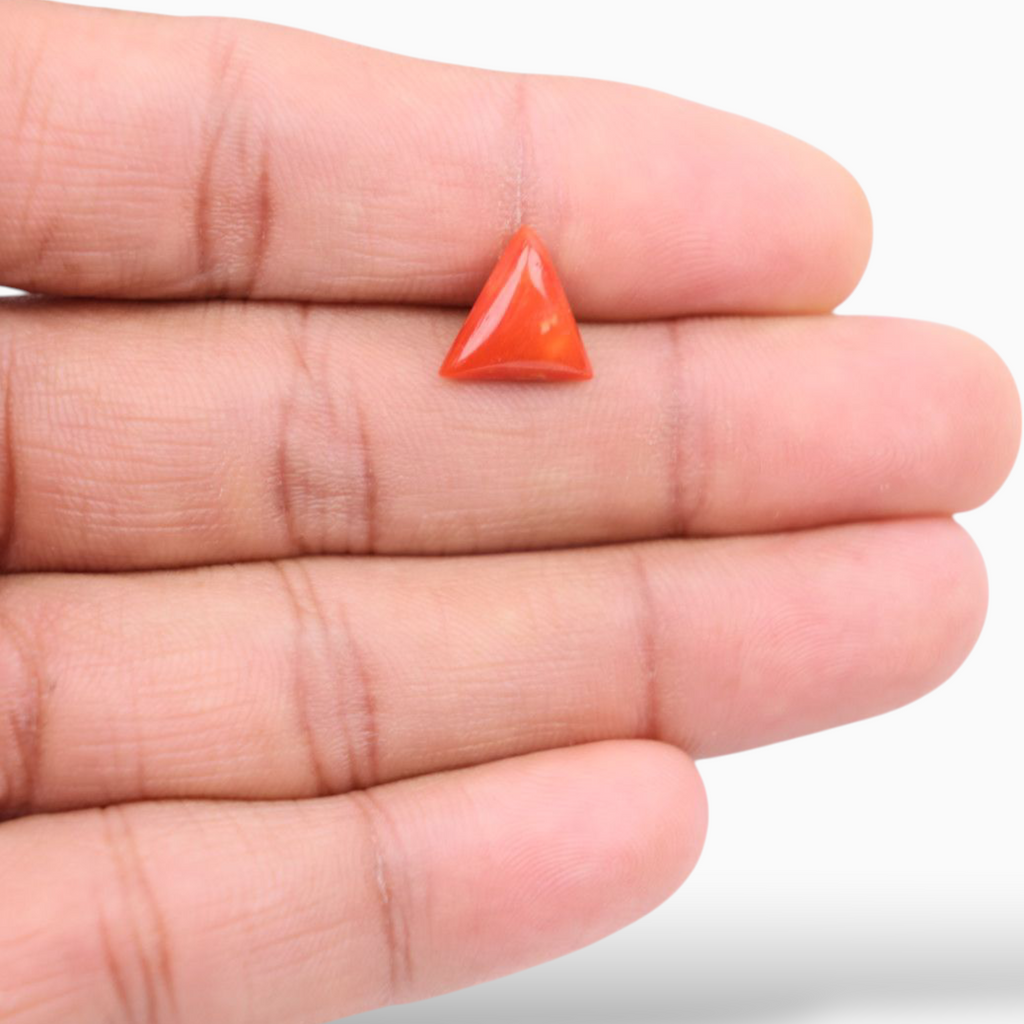 Buy Italian Red Coral  For Sale 2.66 Carats Triangle Shape Size 10.7mm