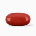 Sponge Coral Stone For Sale 12.40 Carats Oval Cabochon Shape Size 19x10.3mm