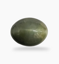 Cats Eye Stone Natural 11.79 Carats Oval Cabochon Size 15.6X12mm