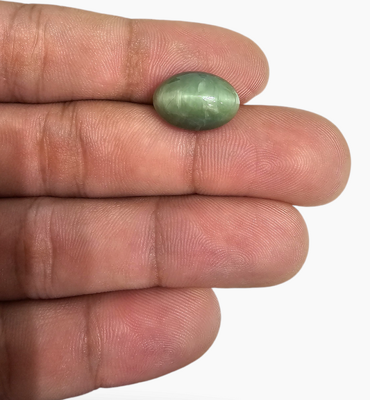 Cats Eye Stone Natural 8.76 Carats Oval Cabochon Size 14X11.3mm