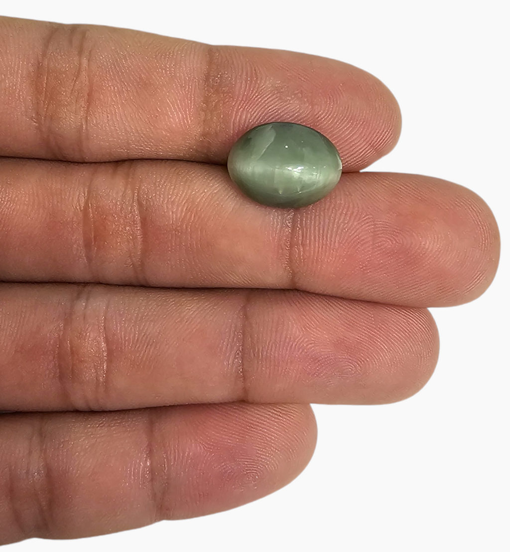 Cats Eye Stone Natural 9.76 Carats Oval Cabochon Size 14.18X11.5mm