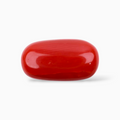 Quality Red Coral Stone For Sale 4.28 Carats In Oval Cabochon Shape 13x7mm Size