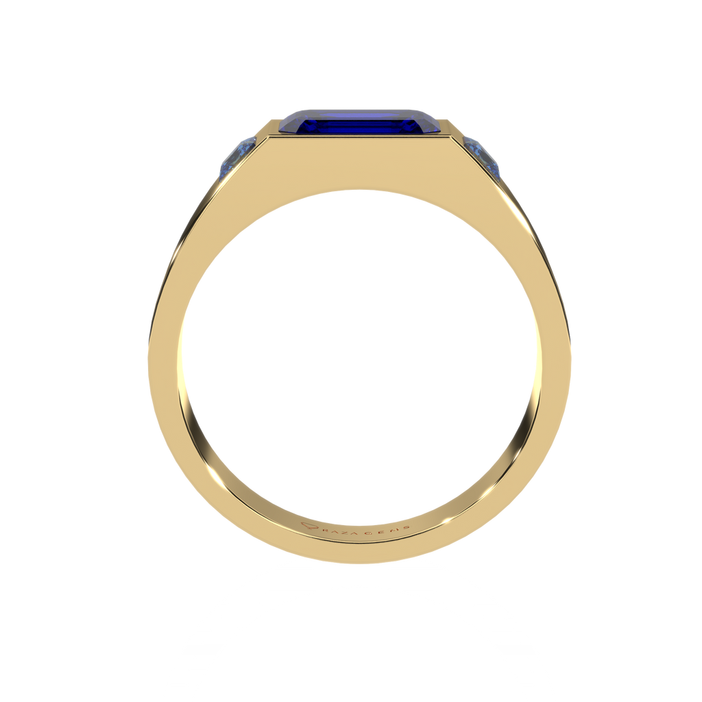 Blue Sapphire Ring  FarrokhzAd 18K Yellow Gold