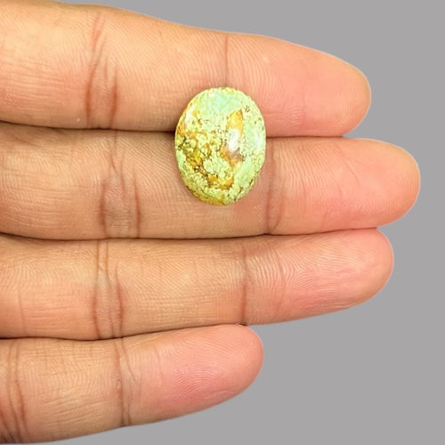 Genuine Turquoise 14.91 Carats 19.1 x 14.6 x 8 mm in Oval