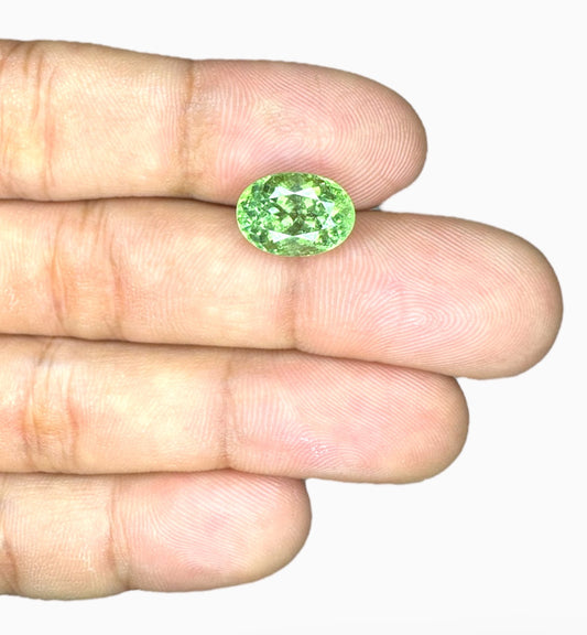 Green Tourmaline Oval Shape 5.12 Carats Size 12x8.8mm