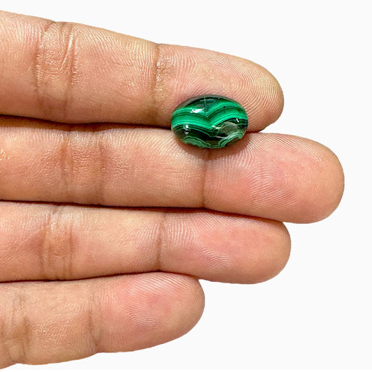 Natural Malachite Stone Oval Cabochon 10.06 Carats Size 14.9x10.5mm