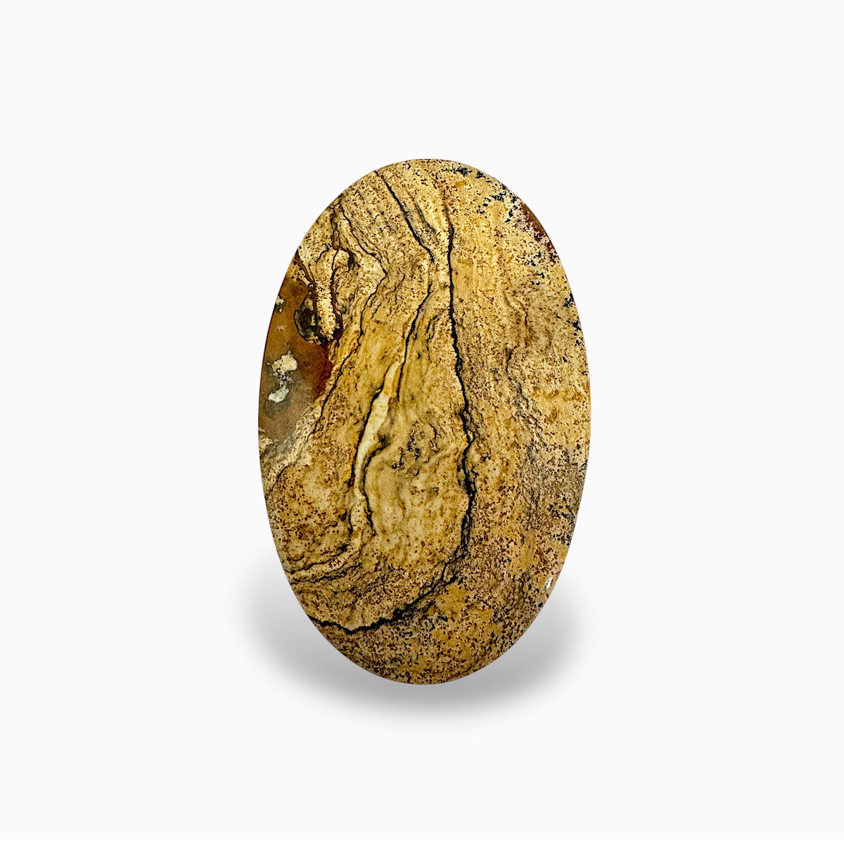 Natural Picture Jasper Stone 165.63 Carats Oval Cabochon Shape (85 x 55 x 5  mm )