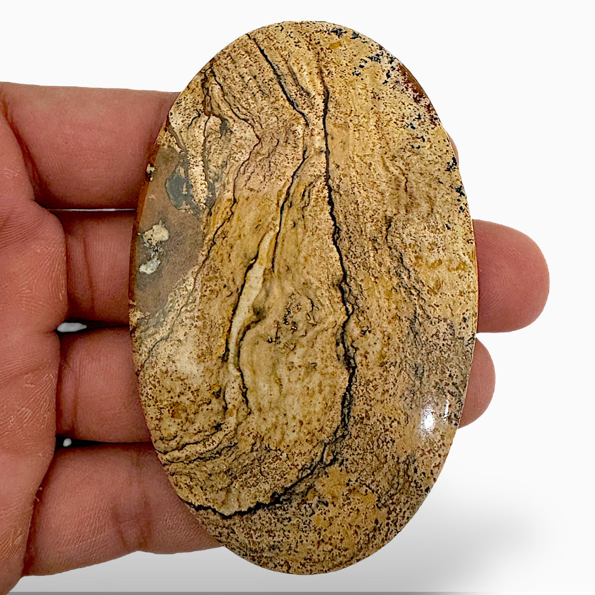 Natural Picture Jasper Stone 165.63 Carats Oval Cabochon Shape (85 x 55 x 5  mm )