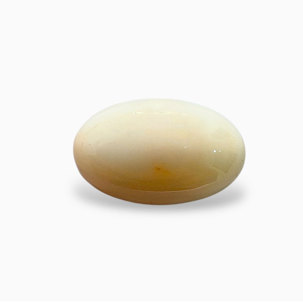 Natural White Coral Moonga Stone 15.77 Carats Oval Cabochon Shape 19x11.9mm